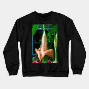 Brugmansia (Angel's trumpet) Crewneck Sweatshirt